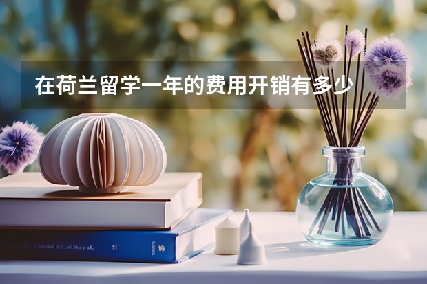 在荷兰留学一年的费用开销有多少