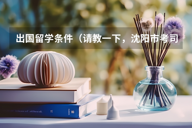 出国留学条件（请教一下，沈阳市考司法考试的报名条件有那些，例如：年龄，学历，身高~~~~~~）