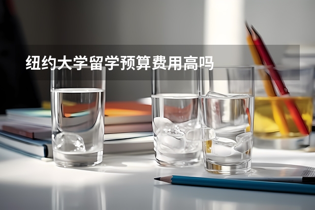 纽约大学留学预算费用高吗