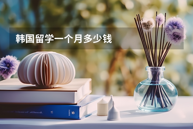 韩国留学一个月多少钱