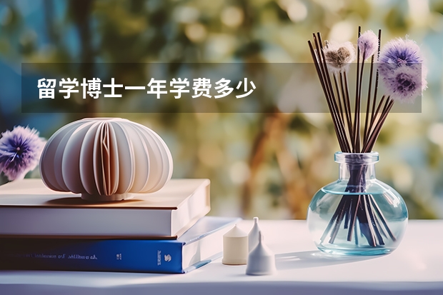 留学博士一年学费多少