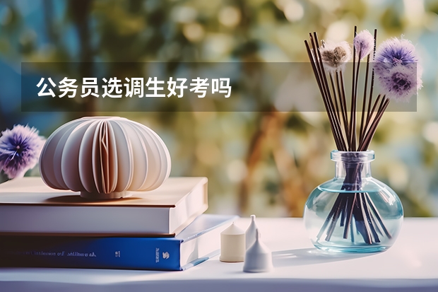 公务员选调生好考吗