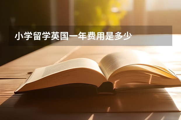 小学留学英国一年费用是多少