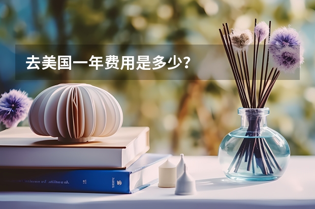 去美国一年费用是多少？
