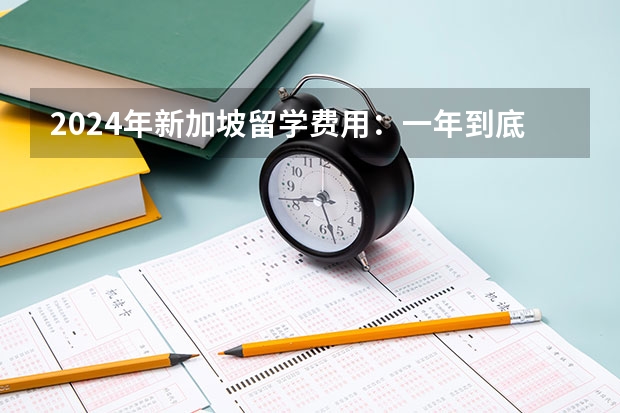2024年新加坡留学费用：一年到底要花多少钱？