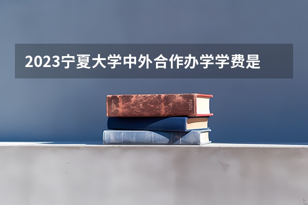 2023宁夏大学中外合作办学学费是多少及各专业收费标准