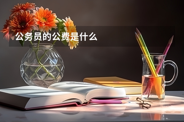 公务员的公费是什么