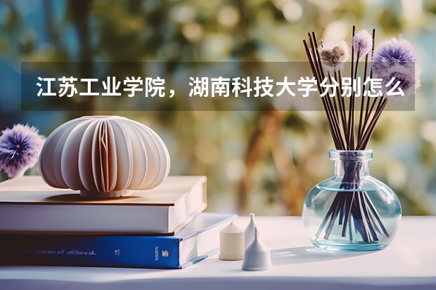 江苏工业学院,湖南科技大学分别怎么样?