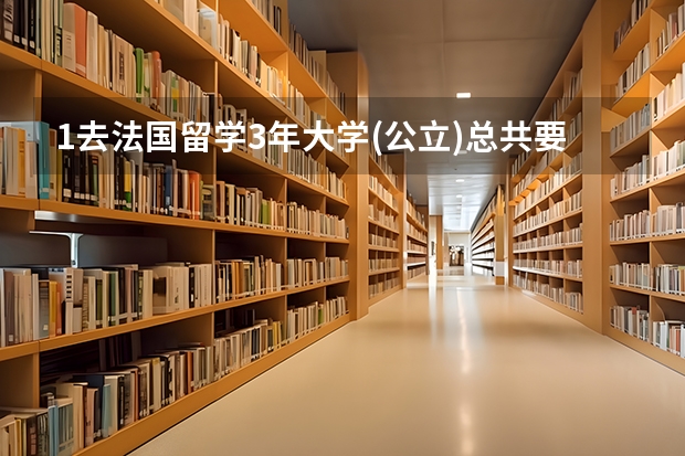 1.去法国留学3年大学(公立)总共要多少钱?