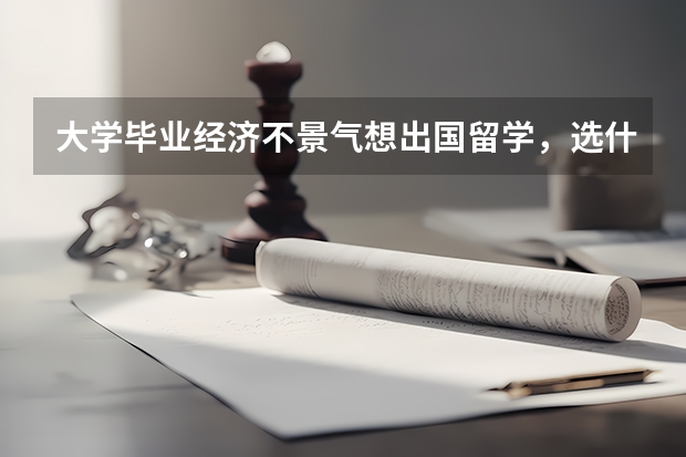 大学毕业经济不景气想出国留学,选什么学校