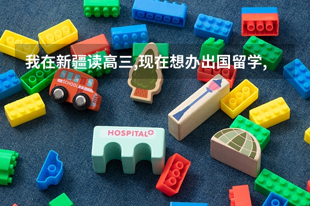 我在新疆读高三,现在想办出国留学,怎样办理?(我是新疆的的一名学生,想出国留学,听说新疆这块儿办理挺麻烦,想知道具体步骤)