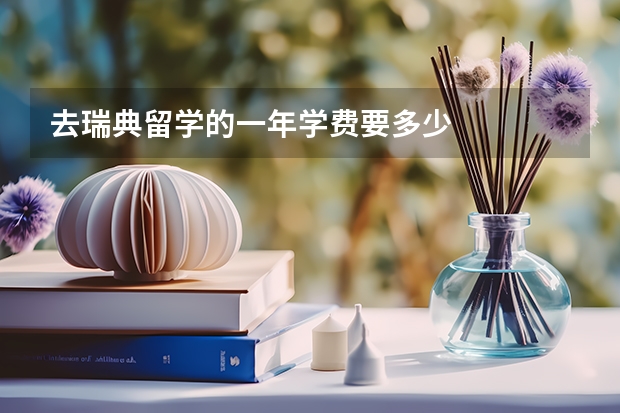 去瑞典留学的一年学费要多少