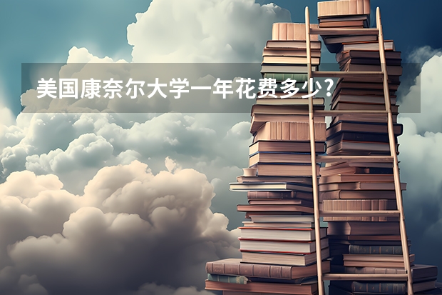 美国康奈尔大学一年花费多少?
