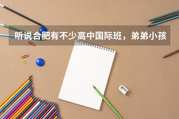 听说合肥有不少高中国际班，弟弟小孩马上要中考了，家里想让他读国际班，有知道的吗？推荐一个？