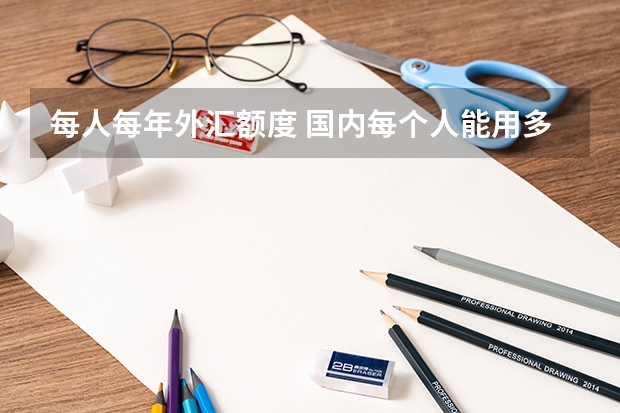 每人每年外汇额度 国内每个人能用多少外汇额度
