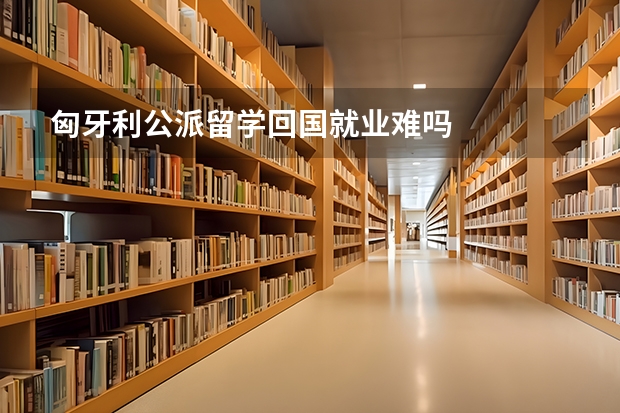匈牙利公派留学回国就业难吗