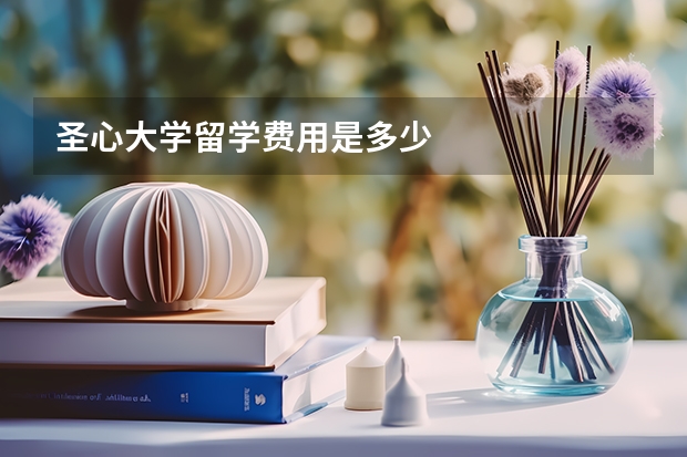 圣心大学留学费用是多少