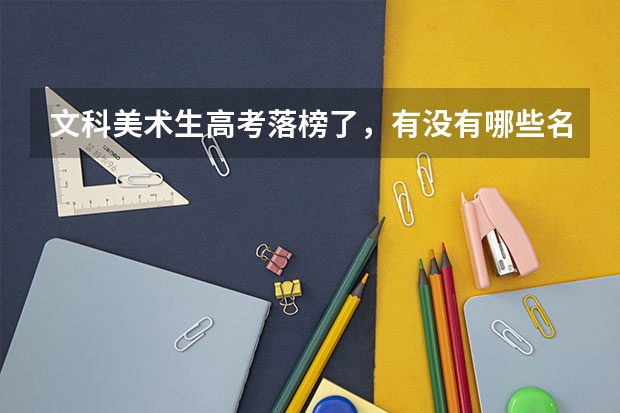 文科美术生高考落榜了，有没有哪些名牌大学的中外合作办学可以提供一下啊，