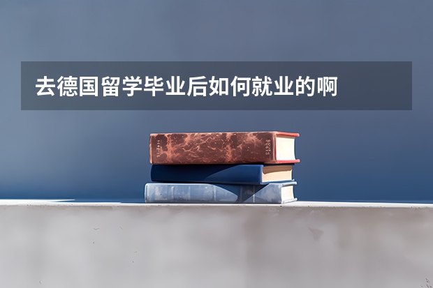 去德国留学毕业后如何就业的啊