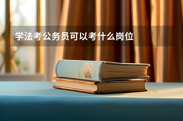 学法考公务员可以考什么岗位