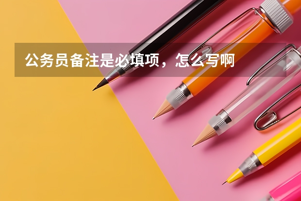 公务员备注是必填项，怎么写啊