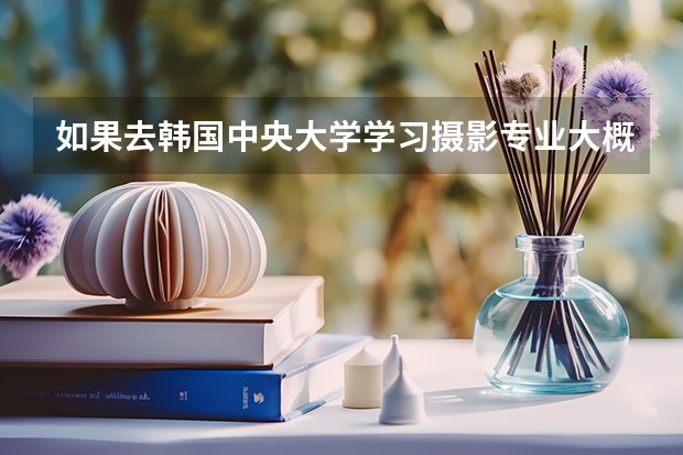 如果去韩国中央大学学习摄影专业大概要花多少钱?(学费+器材的钱) 有没有在中央大学习摄影的前辈啊。求解。