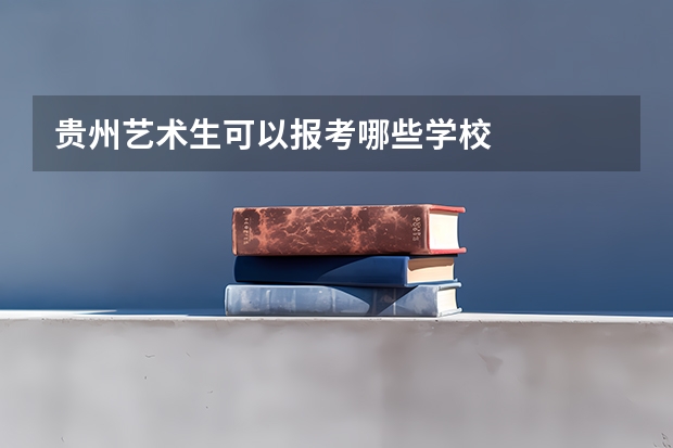 贵州艺术生可以报考哪些学校
