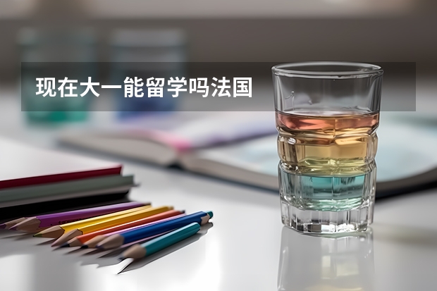 现在大一能留学吗法国