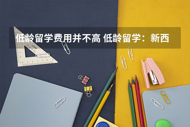 低龄留学费用并不高 低龄留学：新西兰低龄留学逐渐成为趋势