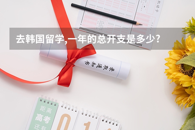 去韩国留学,一年的总开支是多少?