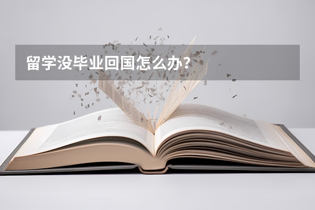 留学没毕业回国怎么办？