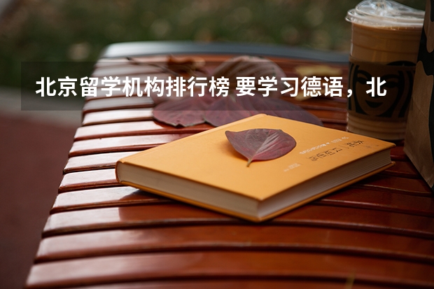 北京留学机构排行榜 要学习德语，北京的，零基础，是北外的德语班好还是莱茵春天的德语班好？？
