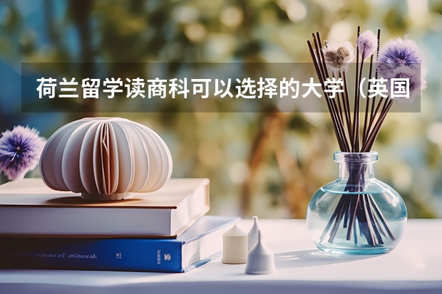 荷兰留学读商科可以选择的大学（英国爱丁堡大学排名）