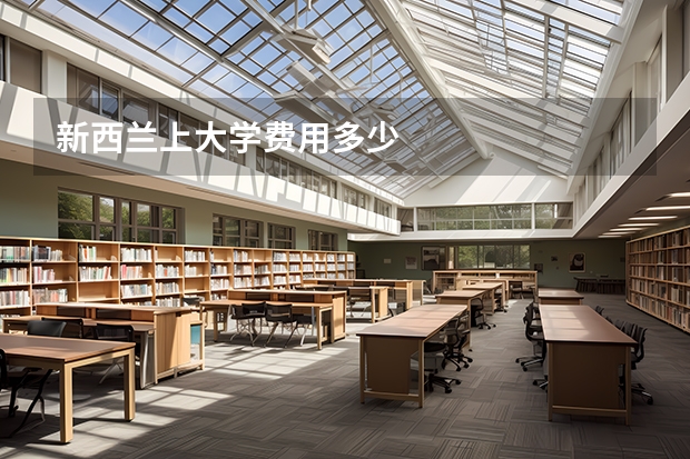 新西兰上大学费用多少