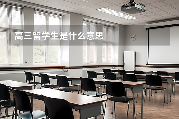 高三留学生是什么意思