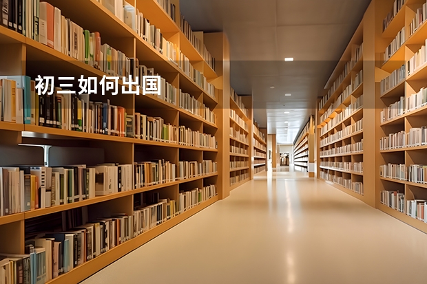 初三如何出国