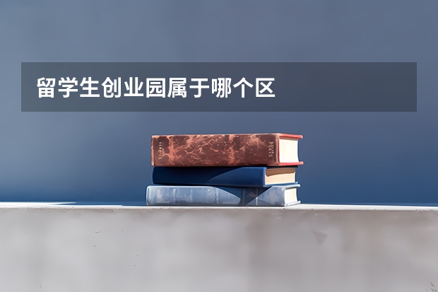 留学生创业园属于哪个区