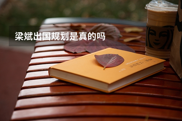 梁斌出国规划是真的吗