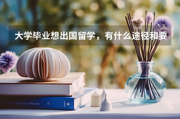 大学毕业想出国留学，有什么途径和要求