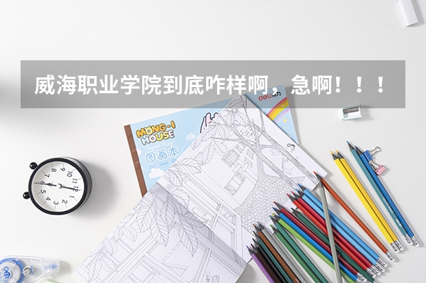 威海职业学院到底咋样啊，急啊！！！（美国金融专业留学生的职业规划）