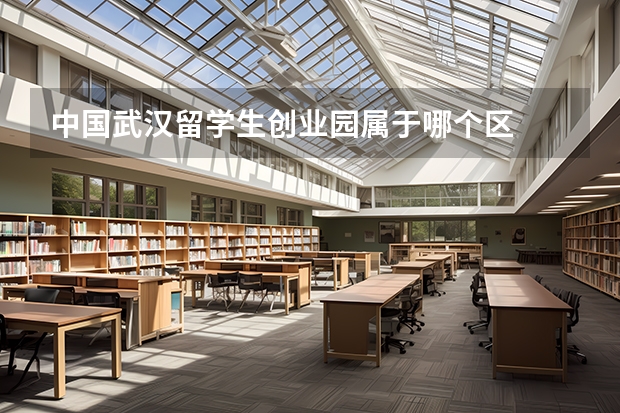 中国武汉留学生创业园属于哪个区